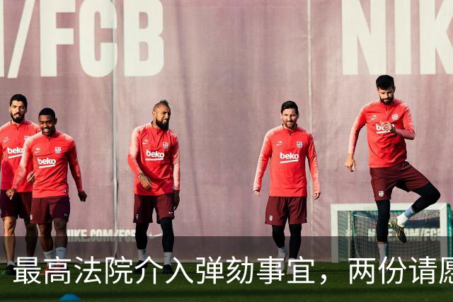 最高法院介入弹劾事宜，两份请愿书提出法律质疑